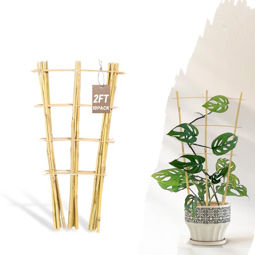 10pack bamboo trellis - 10pack,