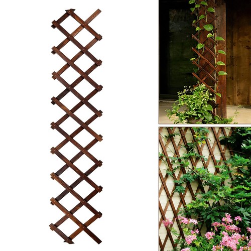 Expandable wooden trellis - wooden,