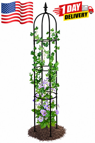 Garden obelisk trellis for - garden,