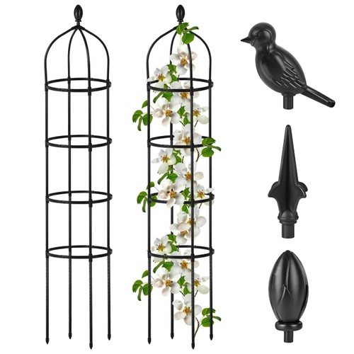 Garden obelisk trellis for - garden,