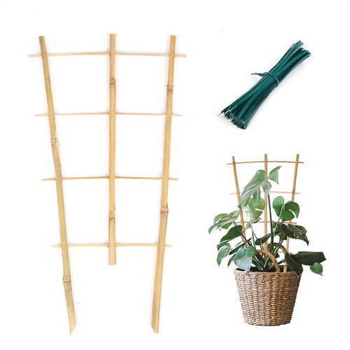Pack inch bamboo trellis - pack,