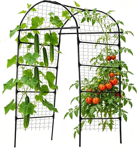 Tall metal garden arch - tall,