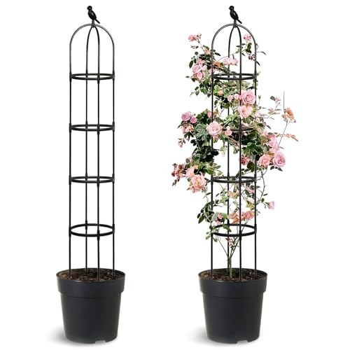 Pack 6ft adjustable - 6ft,