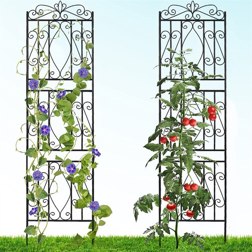 Garden trellis for climbing - garden,